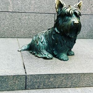 Meet your Posher, Cameron